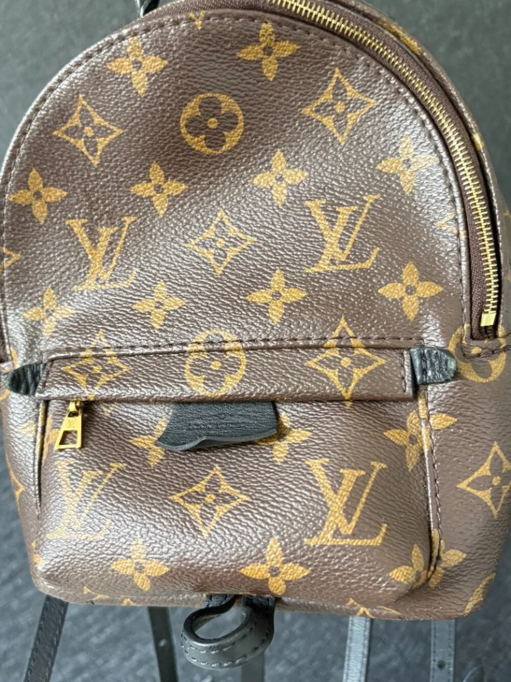 Louis Vuitton Palm Springs Mini Backpack